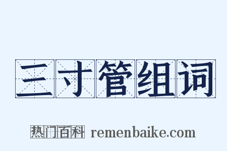 三寸管组词是什么意思的图片